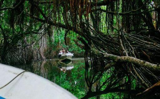 The Nonnas Privacy Villa *